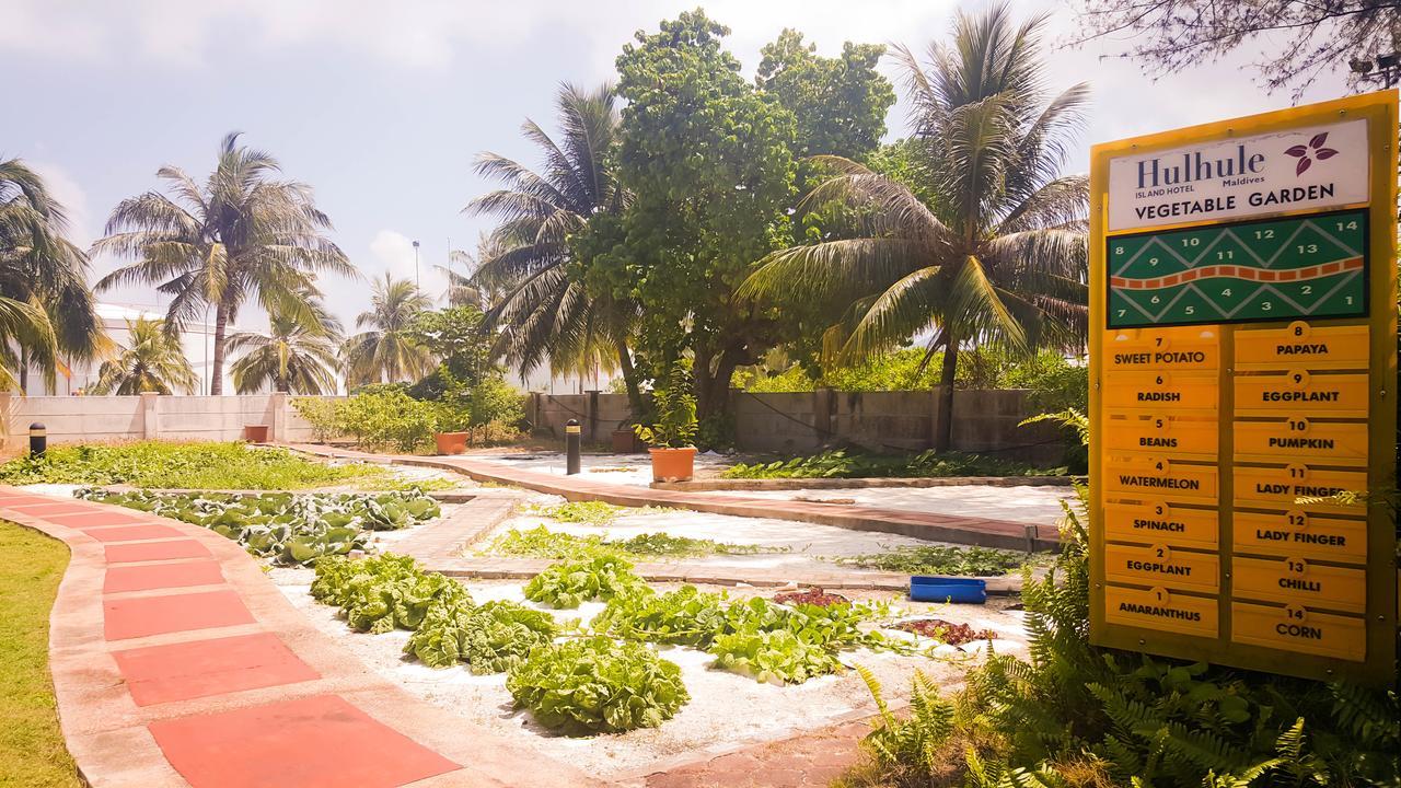 Hulhule Island Hotel Male Ngoại thất bức ảnh
